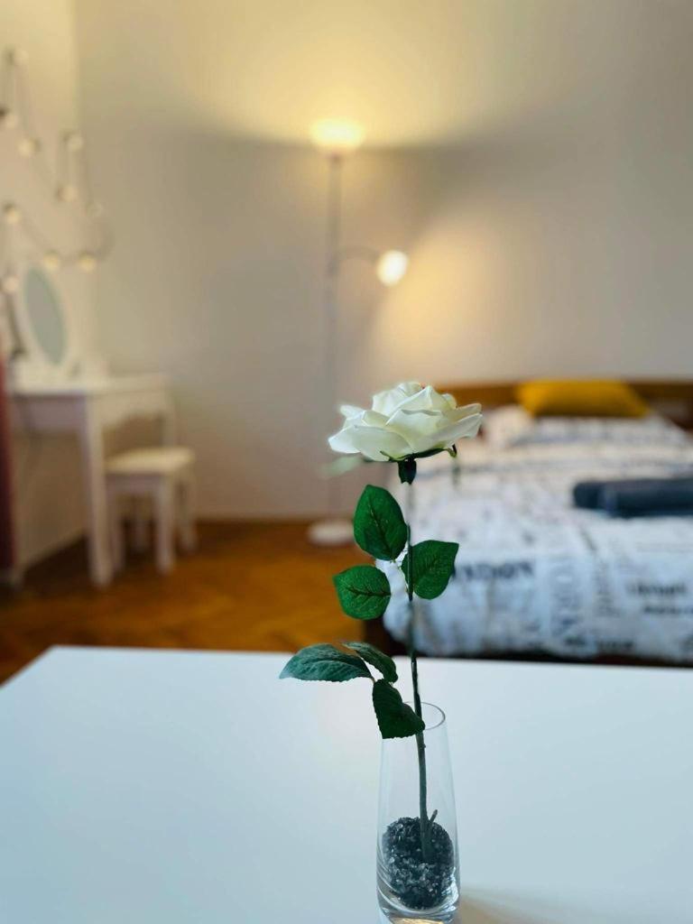 Lovely 2Bdr In Center, Wifi & Self-Check In Bratislava Extérieur photo